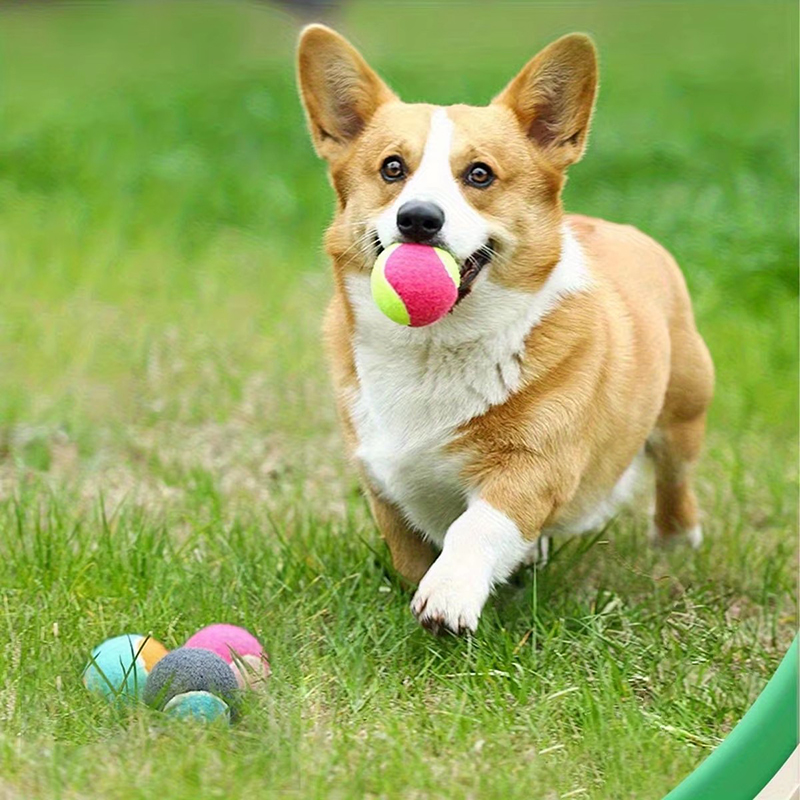 1/2pcs Balls Toy Solid Hard Ba - Kids Outdoor Dome 评论和价格