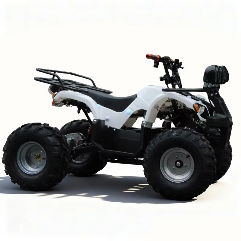 750W 48V Kids Electric ATV Qua - Kids Outdoor Electric Quad 评论和价格