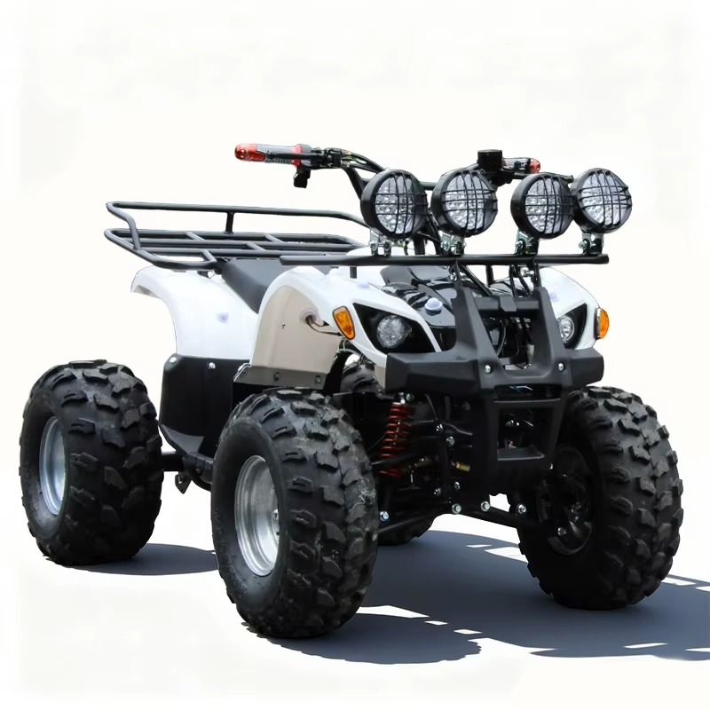 750W 48V Kids Electric ATV Qua - Kids Outdoor Electric Quad 评论和价格