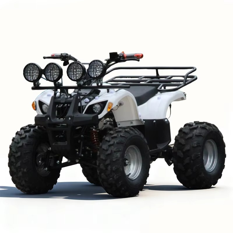 750W 48V Kids Electric ATV Qua - Kids Outdoor Electric Quad 评论和价格