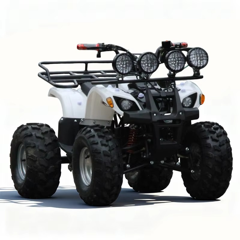750W 48V Kids Electric ATV Qua - Kids Outdoor Electric Quad 评论和价格