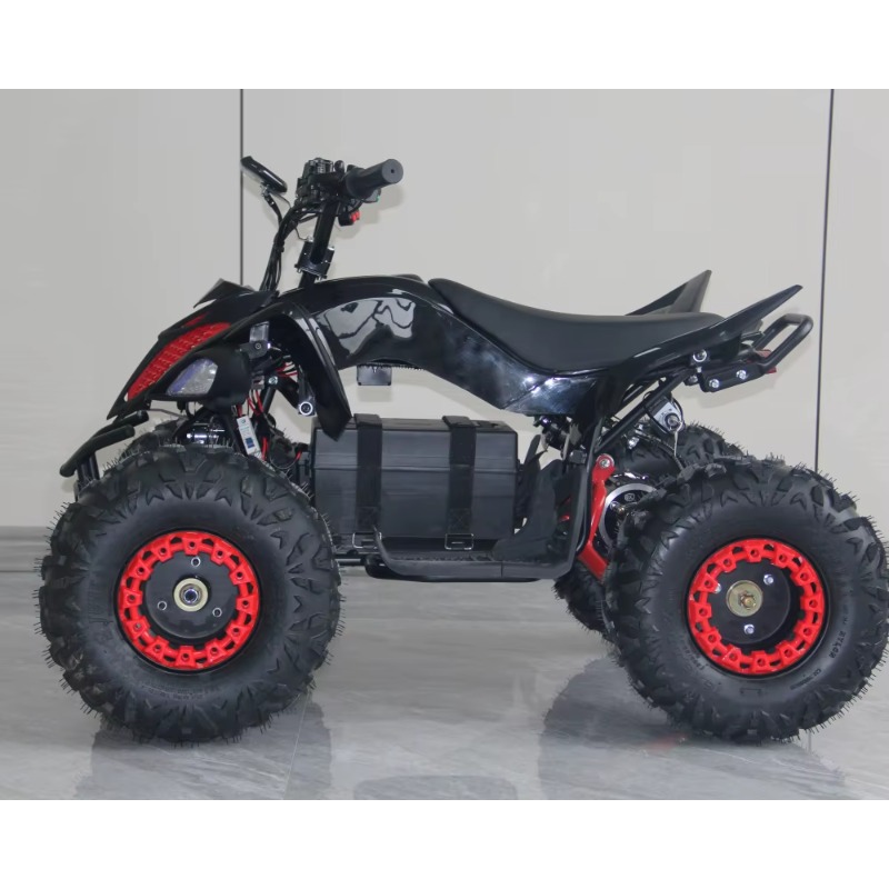 48V 1000W Electric Kids ATV 4  - Kids Outdoor Electric Quad 评论和价格