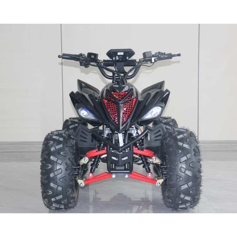48V 1000W Electric Kids ATV 4  - Kids Outdoor Electric Quad 评论和价格