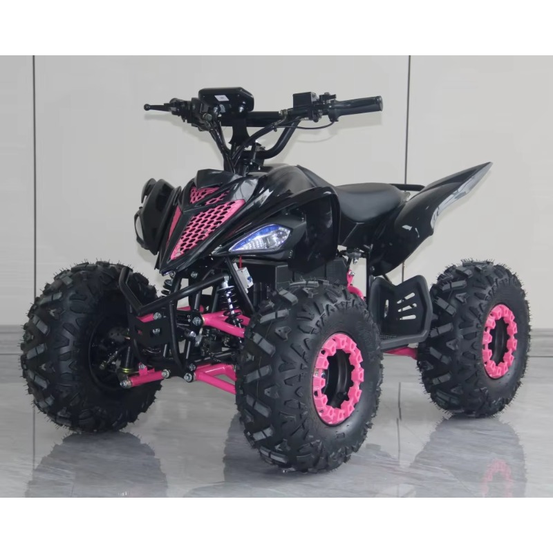 48V 1000W Electric Kids ATV 4  - Kids Outdoor Electric Quad 评论和价格
